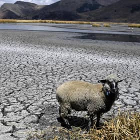 Lake Titicaca, South America’s largest freshwater lake, is in the grip of an unprecedented drought (Photo by AIZAR RALDES / AFP) (Photo by AIZAR RALDES/AFP via Getty Images)