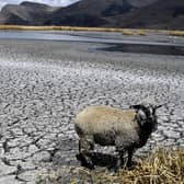 Lake Titicaca, South America’s largest freshwater lake, is in the grip of an unprecedented drought (Photo by AIZAR RALDES / AFP) (Photo by AIZAR RALDES/AFP via Getty Images)