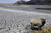 Lake Titicaca, South America’s largest freshwater lake, is in the grip of an unprecedented drought (Photo by AIZAR RALDES / AFP) (Photo by AIZAR RALDES/AFP via Getty Images)