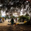 Twilight at Belladrum near Inverness. Image: Paul Campbell