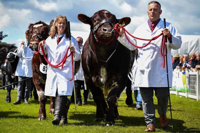 The Royal Highland Show returns this year