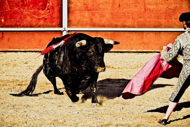 On day one of the 2019 Festival of Saint Fermin, five people were hospitalised by bulls.