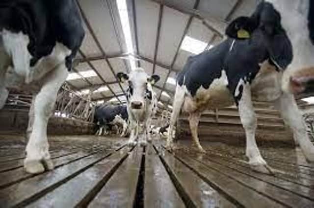 GB milk production could fall more than half a billion litres over the 2022/23 season according to new analysis by the Agriculture and Horticulture Development Board (AHDB).