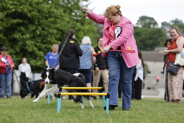 MSPs Emma Harper and Maya take part in the Holyrood Dog of the Year competition. Picture: Jeff J Mitchell/Getty Images
