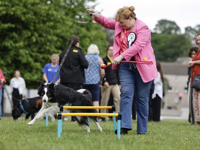 MSPs Emma Harper and Maya take part in the Holyrood Dog of the Year competition. Picture: Jeff J Mitchell/Getty Images