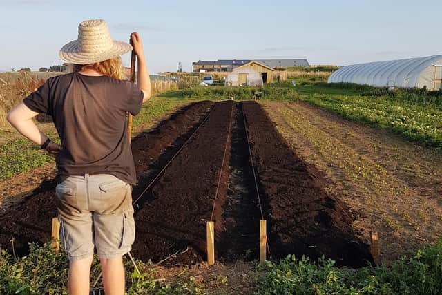 East Neuk Market Garden