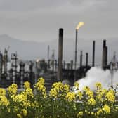 Keeping Grangemouth oil refinery in public ownership could make for a smoother just transition, says reader (Photo by Jeff J Mitchell/Getty Images)