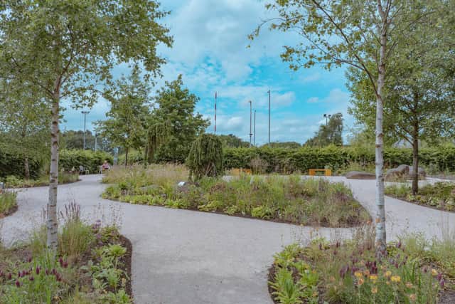 The Teapot Trust Elsewhere Garden at the Royal Hospital for Children Glasgow