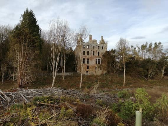 Cavers Castle in the Scottish Borders is to be redeveloped. PIC: Simon Forder/CC