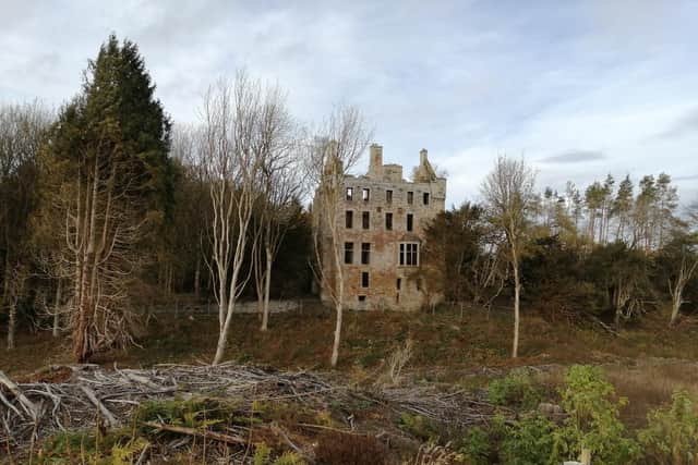 Cavers Castle in the Scottish Borders is to be redeveloped. PIC: Simon Forder/CC
