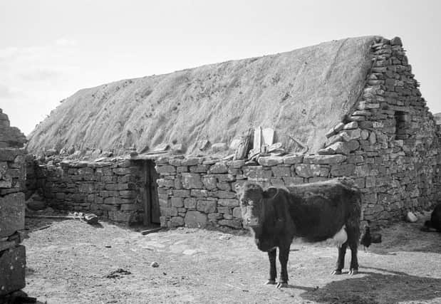 This image of a croft on the isle of Berneray was taken in 1983 -  but where exactly was the building and who owned it?