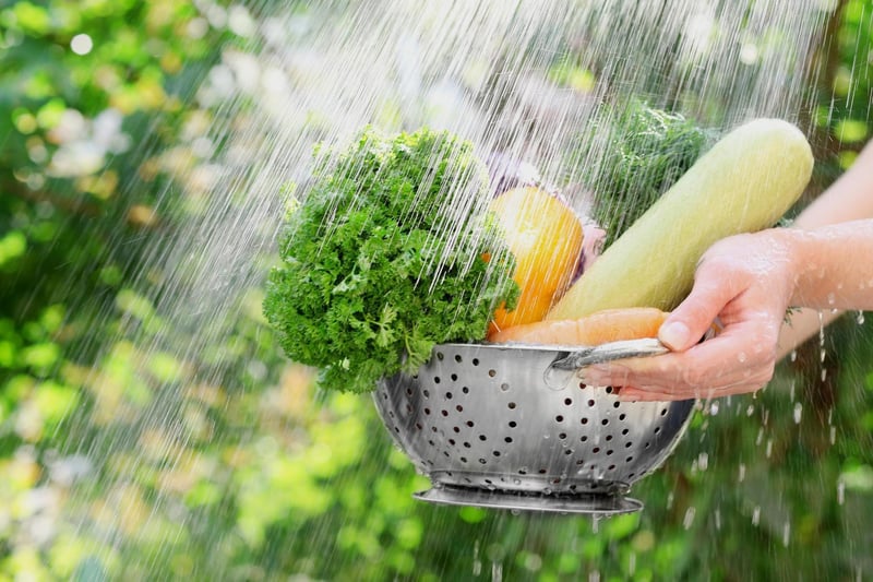 After buying organic produce make sure to rinse it under the tap once you get home to remove any eggs or larvae that may be present. Unfortunately there is no 100% guarantee that fruits and vegetables are free of fruit fly presence upon purchase so take the initiative to remove this possibility.