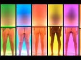 Top to bottom, Naked Attraction is classic Channel 4 fayre.