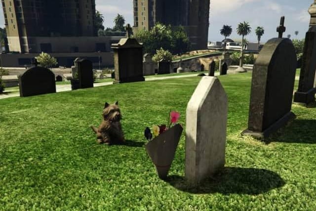 Could this be anyone other than Greyfriars Bobby in GTA 3?