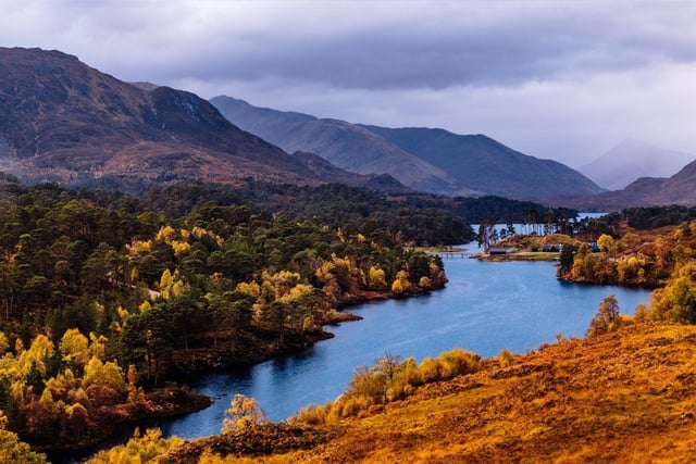Spanning 180 square kilometres of woodland, Affric Forest is part of Glen Affric, around 15 miles west of Loch Ness in the Scottish Highlands. it's the third largest area of ancient Caledonian pinewoods in Scotland.