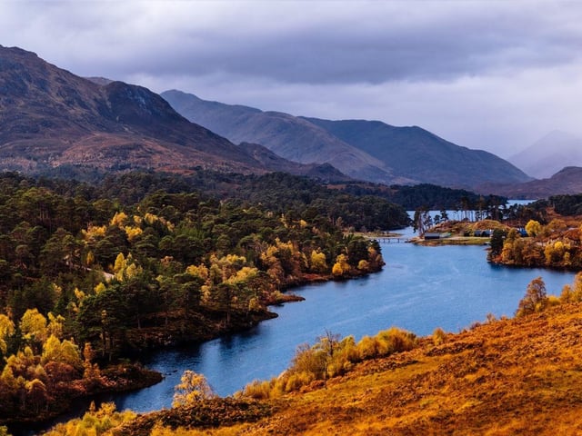 Spanning 180 square kilometres of woodland, Affric Forest is part of Glen Affric, around 15 miles west of Loch Ness in the Scottish Highlands. it's the third largest area of ancient Caledonian pinewoods in Scotland.