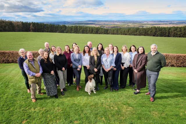 The team at Paton & Co.
