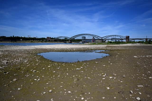 A puddle of water on a dried-up part of the Rhine's river bed at Cologne, western Germany, last month (Picture: Ina Fassbender/AFP via Getty Images)