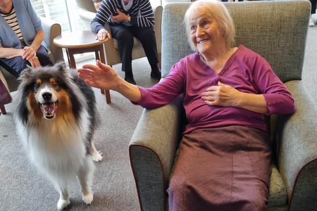 Alfie, a gorgeous two-year-old rough collie, has transformed residents’ lives since Diane adopted him as a puppy