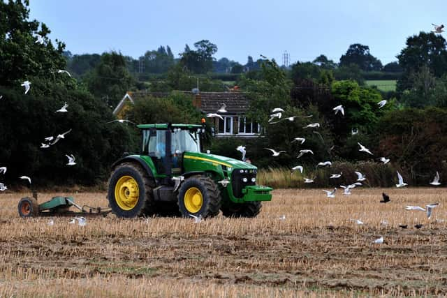 The Scottish Conservatives have attacked the SNP for apparent lack of movement around the Agriculture Bill.