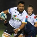 Sione Vailanu in action for Glasgow Warriors during the 1872 Cup first leg win over Edinburgh at Scotstoun last week. (Photo by Ross MacDonald / SNS Group)