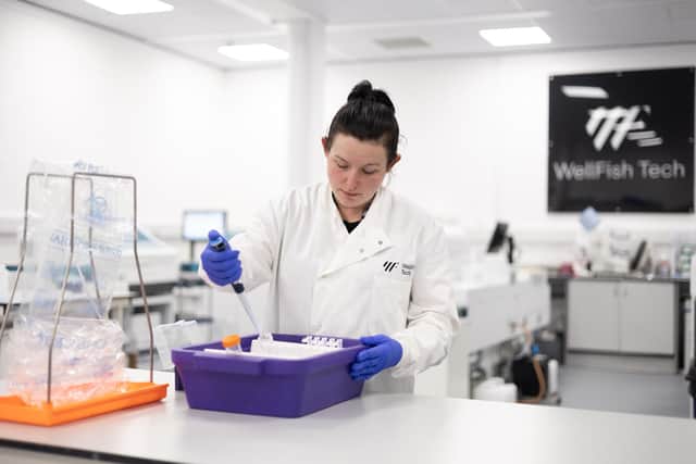 Innovation in Scotland’s salmon farming sector has surged to almost £200m, a new study has found.