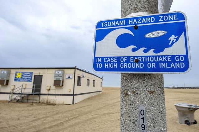 Tonga tsunami: 'Irreplaceable' British charity worker dies in tsunami after trying to save her dogs. (Mark Rightmire/The Orange County Register via AP)