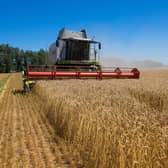 Ukraine is seen as one of the breadbaskets of the world