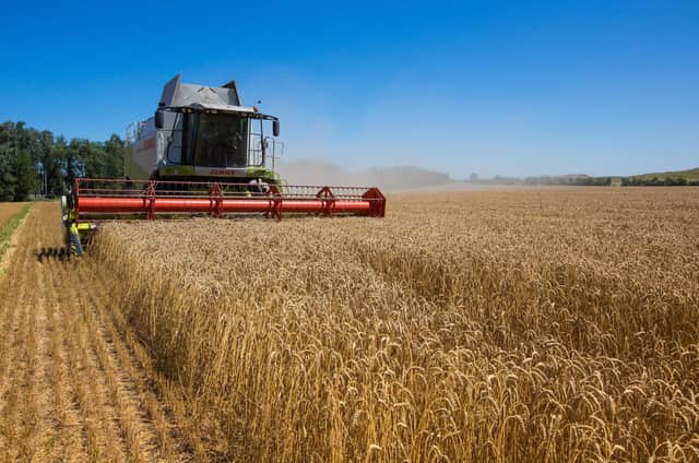 Ukraine is seen as one of the breadbaskets of the world