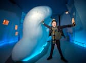 Dynamic Earth