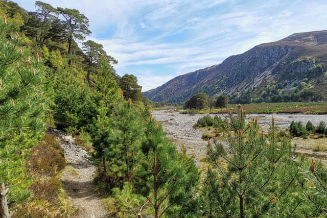 The bothy sits in Upper Glen Feshie, an area where vast areas of natural woodland are being planted by Wildland to improve biodiversity. PIC: Ken Brown/geograph.org