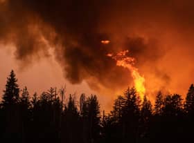 The world is already experiencing some of the deadly impacts of climate change -- this forest was incinerated in a massive wildfire that ripped across thousands of acres in the US state of California during a record heatwave in July this year. Photo: David McNew/Getty Images