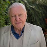 Sir David Attenborough. Photo: PA