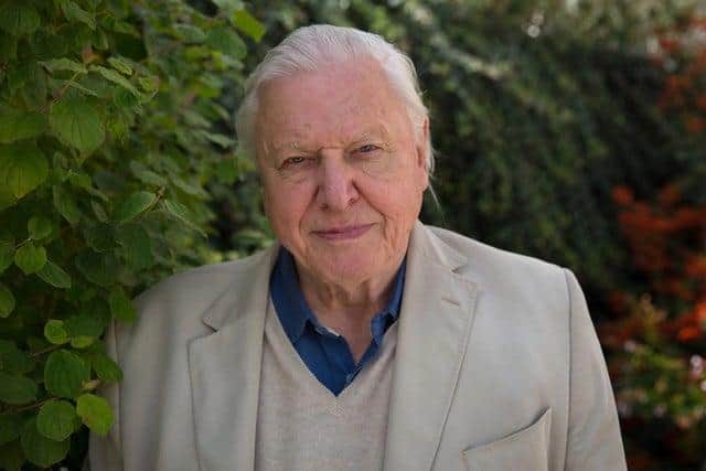 Sir David Attenborough. Photo: PA