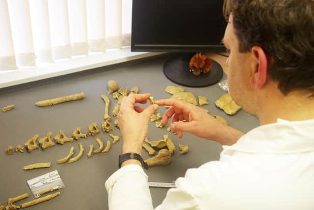 Dr Richard Mikulski, a bone specialist from Cornwall Archaeological Unit (CAU) analysing the skeletons. (Pic: Cornwall Council SWNS)