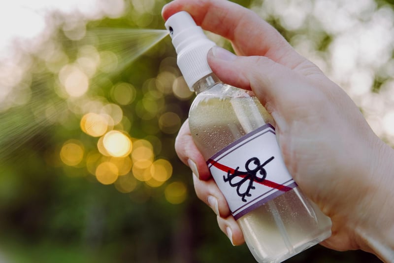 Remember that insect sprays will kill the adult insects but will not prevent eggs from hatching. So, if you want to try an inspect spray do so at your own discretion, and remember that they contain poisonous chemicals that could be harmful to yourself, animals or children.