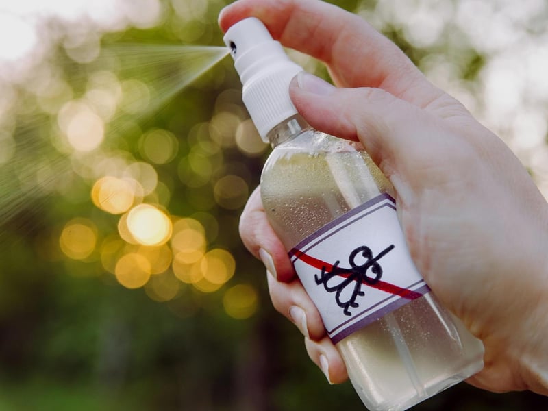 Remember that insect sprays will kill the adult insects but will not prevent eggs from hatching. So, if you want to try an inspect spray do so at your own discretion, and remember that they contain poisonous chemicals that could be harmful to yourself, animals or children.