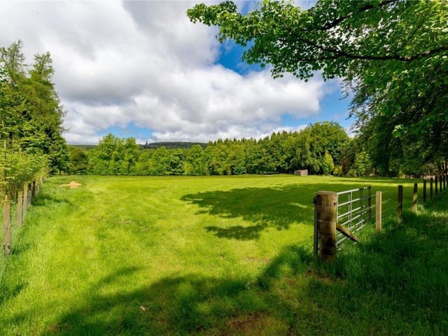 Second field with animal shelter.