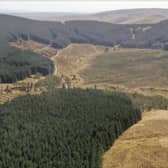 Priesthaugh Forest is on the market with offers over £18,000,000.