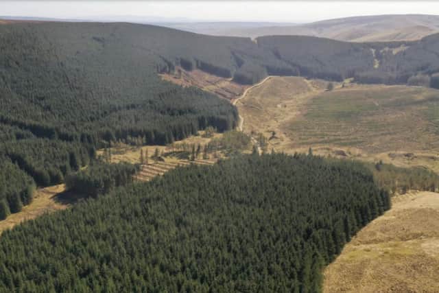 Priesthaugh Forest is on the market with offers over £18,000,000.