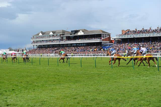 Action at the Scottish Grand National in 2012