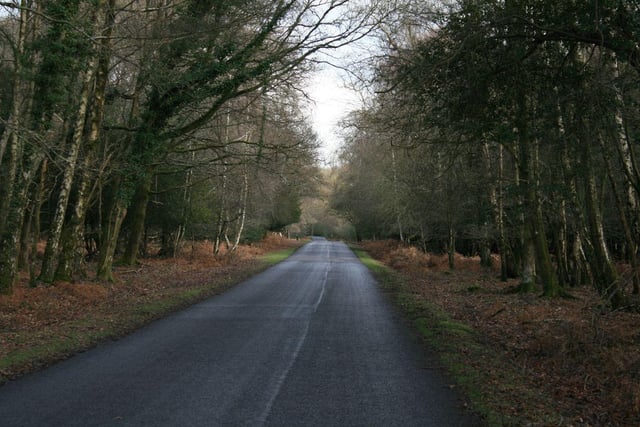 The New Forest is one of the largest remaining tracts of unenclosed pasture land, heathland and forest in Southern England. The road taking drivers through the forest, covering southwest Hampshire and southeast Wiltshire, just misses out on a place in the top five.
