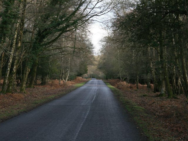 The New Forest is one of the largest remaining tracts of unenclosed pasture land, heathland and forest in Southern England. The road taking drivers through the forest, covering southwest Hampshire and southeast Wiltshire, just misses out on a place in the top five.