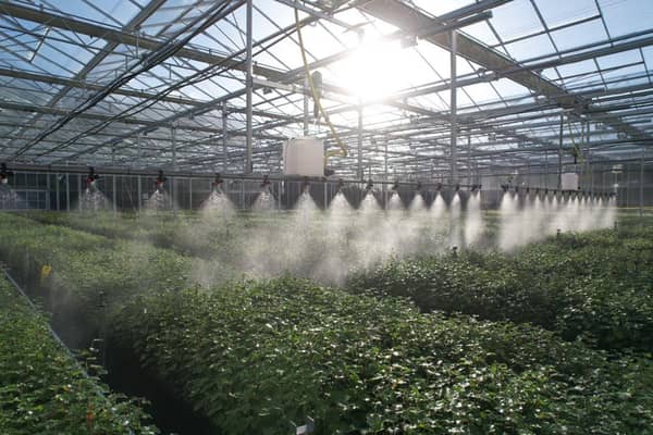 Its ultra-efficient tree nursery in Fife is the world’s first to be verified carbon-negative
