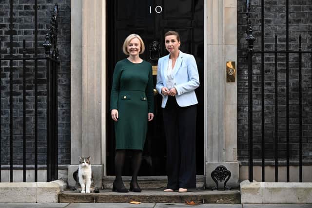 Larry (left) the Number 10 cat, Britain's Prime Minister Liz Truss (centre) and Danish Prime Minister Mette Frederiksen (right) pose for a photograph outside 10 Downing Street. Picture: Justin Tallis/AFP via Getty Images