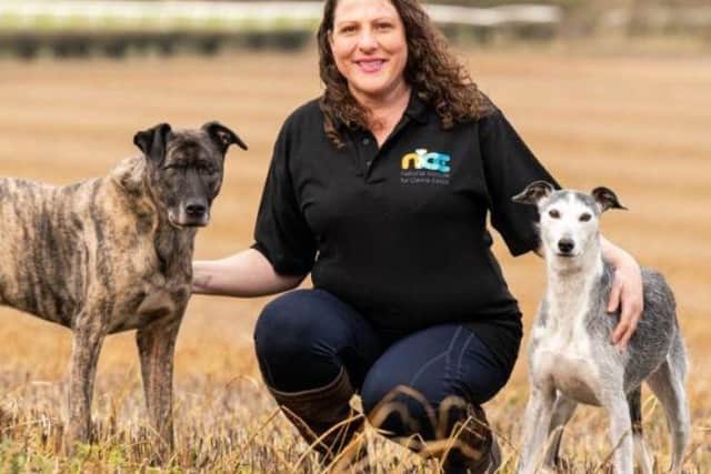 Jo Middleton of Canine Principles - Animal News Agency