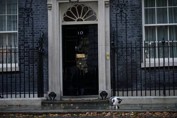 Larry the cat, in Downing Street after Liz Truss made a statement, where she announced her resignation as Prime Minister. Liz Truss’s Government has resigned as Prime Minister after 45 days in office.