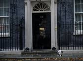 Larry the cat, in Downing Street after Liz Truss made a statement, where she announced her resignation as Prime Minister. Liz Truss’s Government has resigned as Prime Minister after 45 days in office.