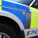 A man has died after a dog attack in a park in Hampshire.