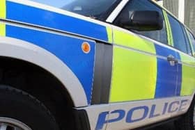 A man has died after a dog attack in a park in Hampshire.